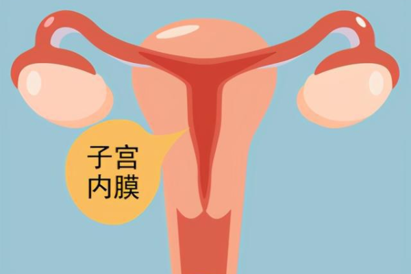 武汉正规供卵试管中心价格表 武汉最新借卵生子费用公开 ‘彩超数字如何看男