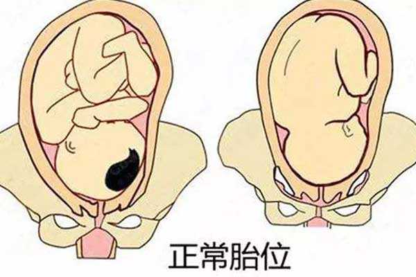 单身香港做试管婴儿多少钱_单身做试管在日本合法吗_单身女去美国做试管婴儿